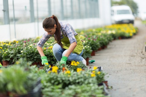 Gardeners Hadley Wood accessibility statement introduction