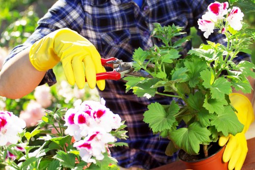 Gardening service terms and conditions introduction
