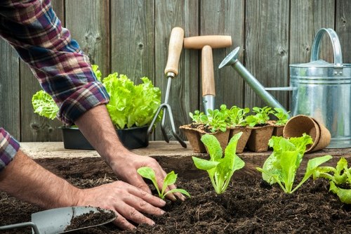 Zero-tolerance approach for Hadley Wood garden services