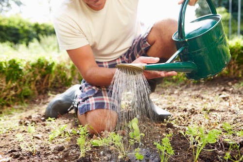 Seasonal garden maintenance in Hadley Wood