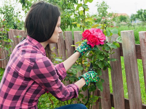 Reusable garden materials prepared for charity partnership donation