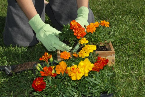 Professional gardener following health and safety standards