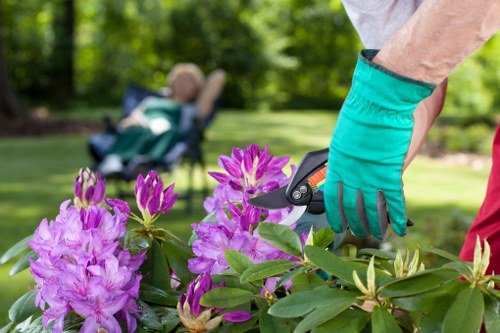 Team applying controlled safety measures during gardening tasks