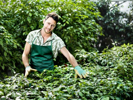 Confidential and fair handling of a gardening complaint