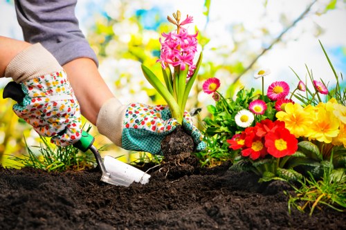 Liability and waste disposal terms in a garden service agreement