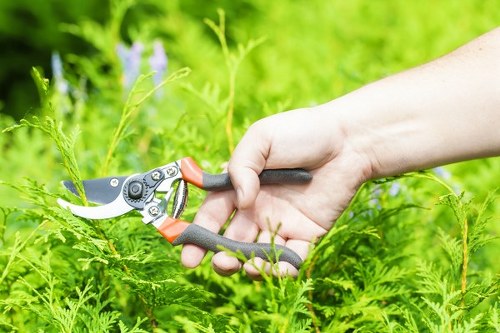WCAG 2.1 AA accessibility commitment for Hadley Wood gardeners