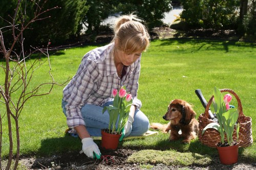 Keyboard navigation and readable structure for local gardening services