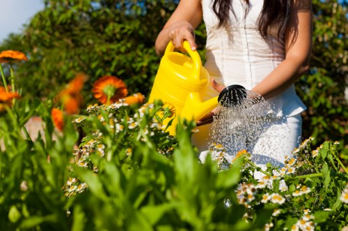 Professional hedge cutting for a residential boundary