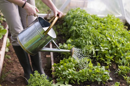 Local garden care and planting in Hadley Wood