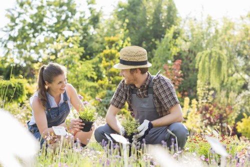Professional review of a garden maintenance complaint