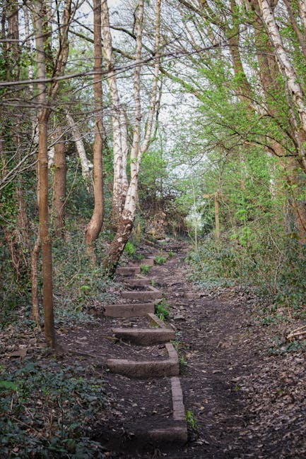 A tranquil woodland scene on Monken Hadley Common showing tall, mature deciduous trees with textured bark and fresh green leaves, indicating springtime. The ground is covered with a mixture of grass, 