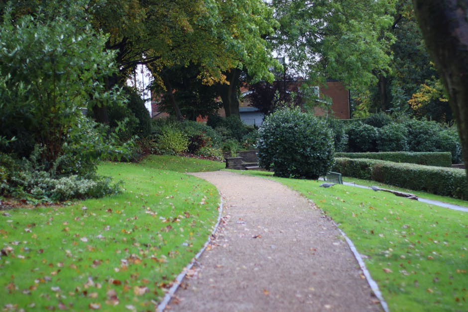 A winding gravel pathway in a well-maintained garden surrounded by lush green grass and a variety of neatly trimmed bushes and shrubs. Tall, leafy trees with dense foliage create a shaded canopy overh